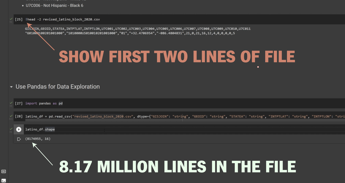 Python in colab. Bash shows the first two lines in the file. Pandas shows there is over 8 million lines in the overall file.