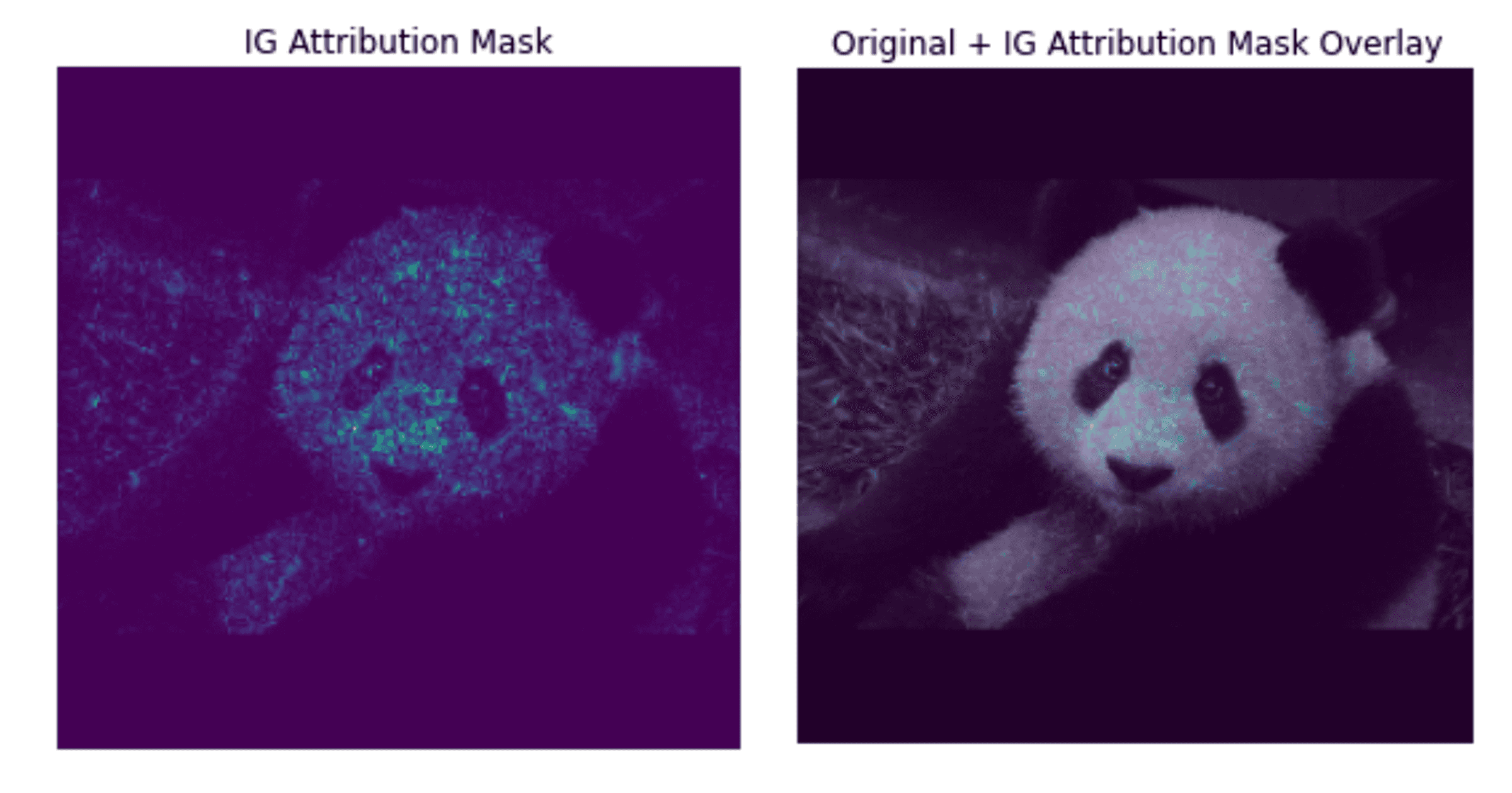 Integrated gradient attribution mask and overlay on input image