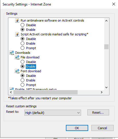 Image showing security settings portion of Internet Explorer where File Download needs to be enabled.