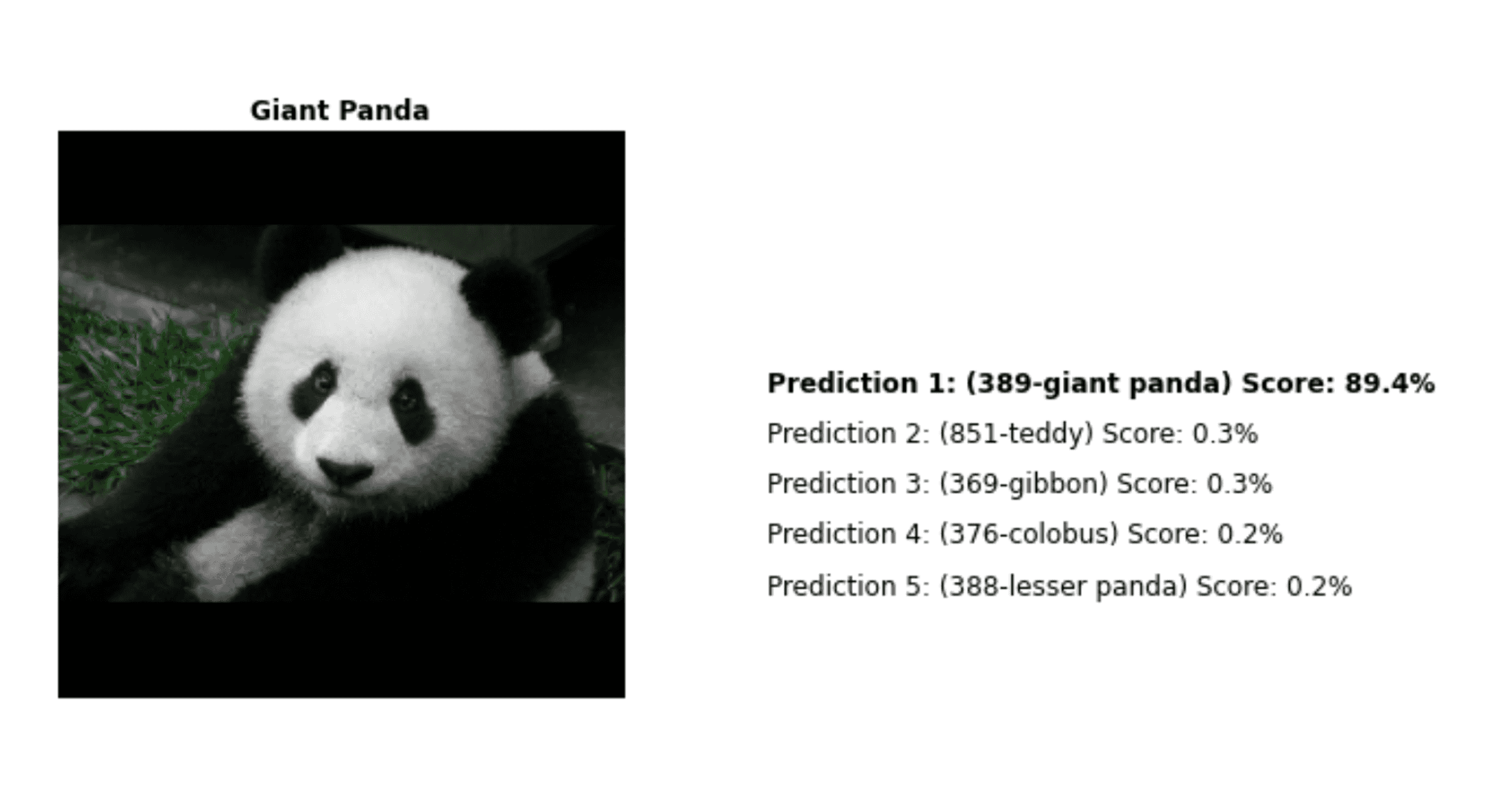 Inception v1 classifies a Panda with 89 percent accuracy