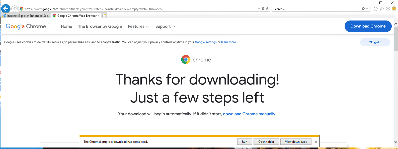 Once File Download is enabled, you can download Chrome.