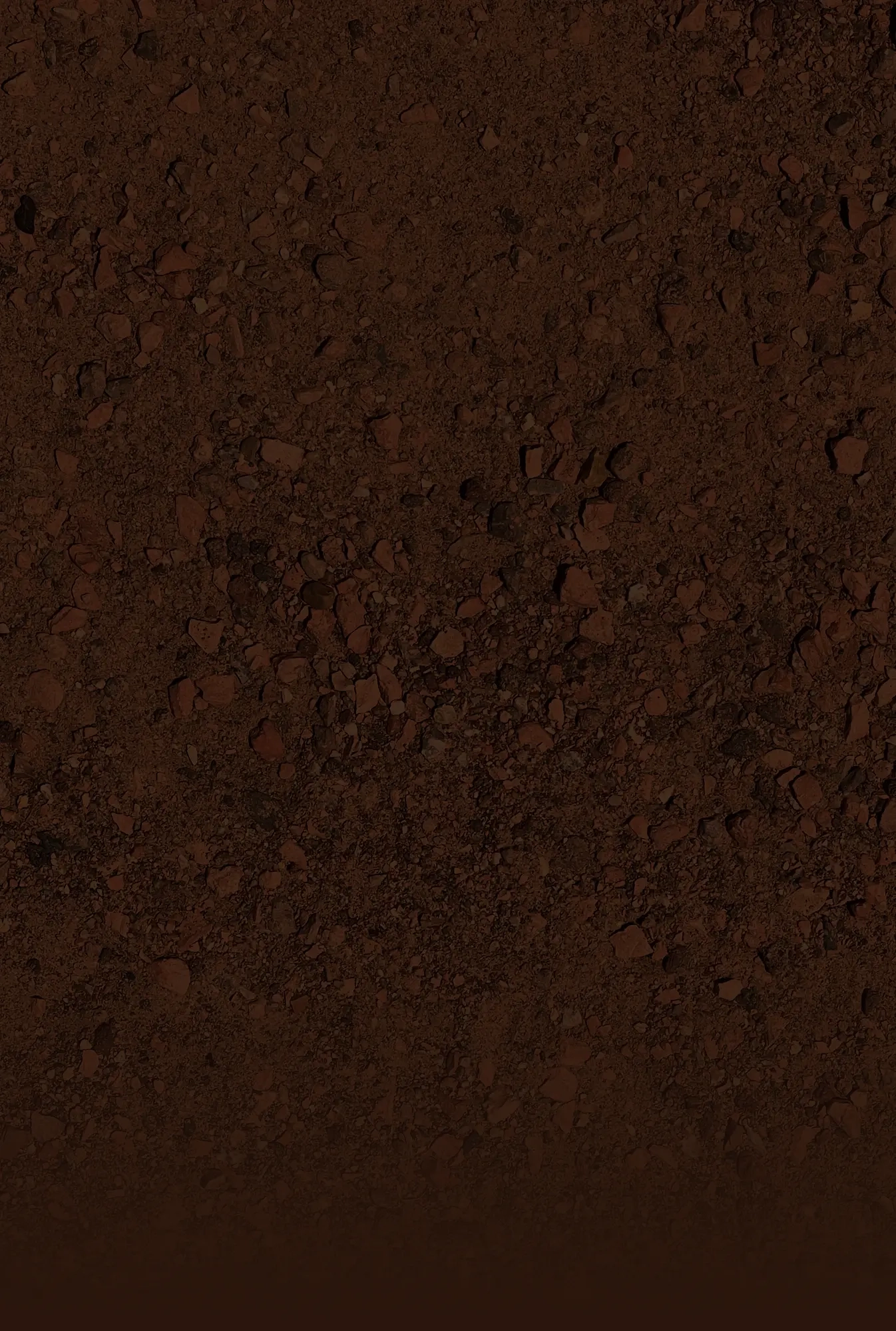 Background showing dark red dirt. It emphasizes how the student is building in a 3D interactive world.